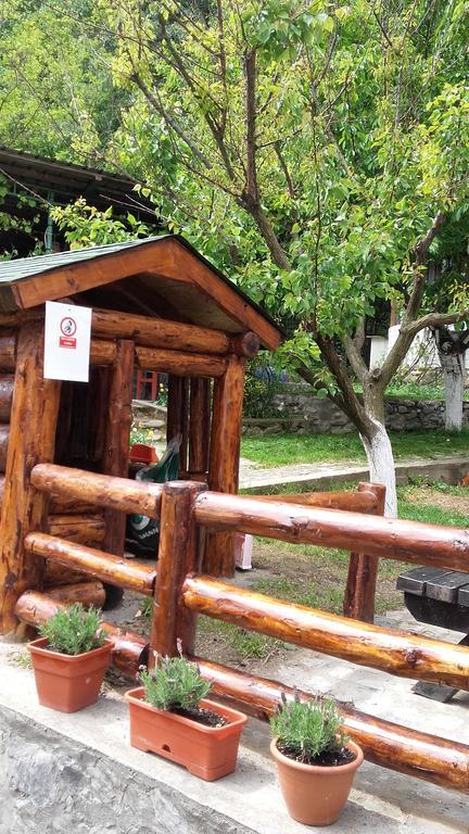 Pension Casa Natura Herkulesfürdő Kültér fotó